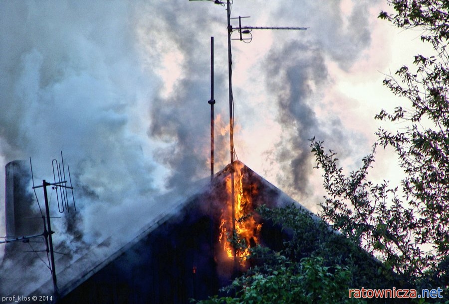 Pożar pustostanu przy ul. Żeromskiego w Pabianicach (8)