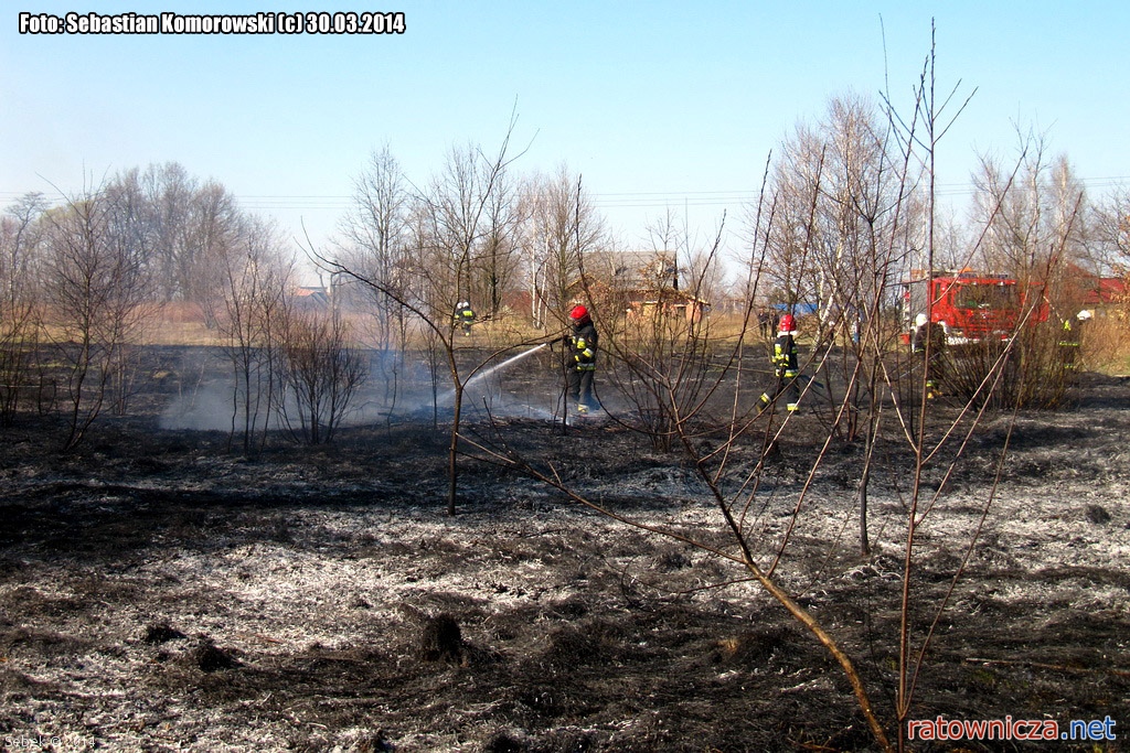 Pożar suchej trawy oraz poszycia leśnego przy ul. Potokowej w Pabianicach