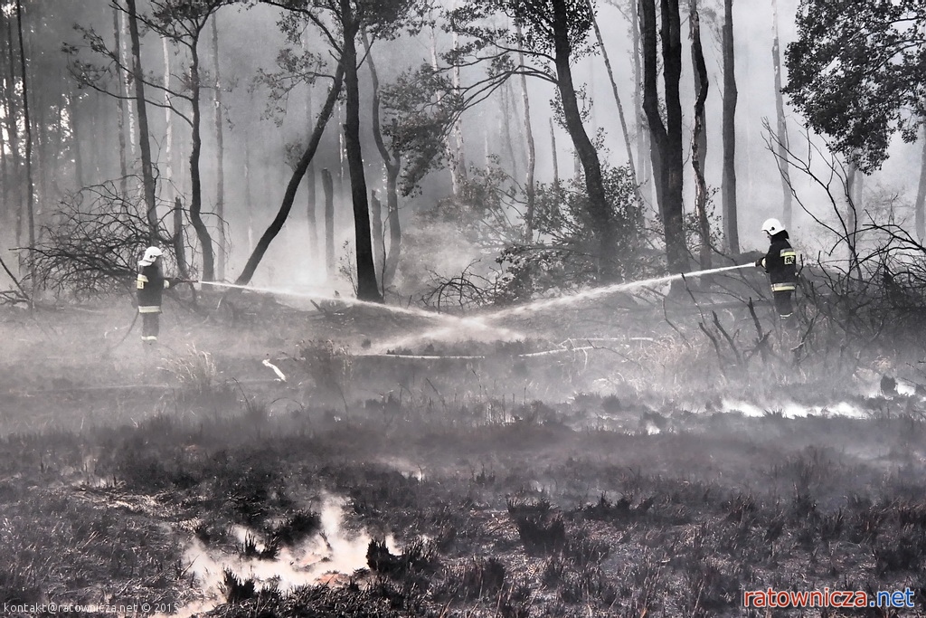 10.10.2015. Pożar suchej trawy i poszycia leśnego w m. Lubiec [4]