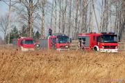 Pożar suchej trawy na nieużytkach rolnych przy ul. Polnej w Pabianicach [12]