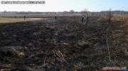 Pożar suchej trawy na nieużytkach rolnych przy ul. Polnej w Pabianicach [1]