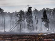 10.10.2015. Pożar suchej trawy i poszycia leśnego w m. Lubiec [5]