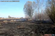 Pożar suchej trawy na nieużytkach przy ul. Skrajnej w Pabianicach [1]