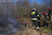 Pożar suchej trawy na nieużytkach przy ul. Skrajnej w Pabianicach [6]