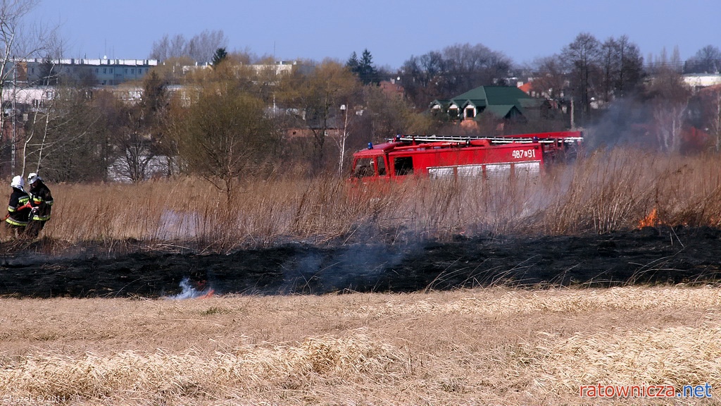 Pożar suchej trawy na nieużytkach rolnych przy ul. Polnej w Pabianicach [11]