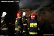 Pożar budynku i komórek przy ul. Jesiennej w Pabianicach [12]