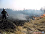 18.03.2012 - Byszów, gm. Klimontów - pożar traw