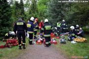 Powiatowe manewry jednostek ochrony przeciwpożarowej "Szpital 2014" w Pabianicach [17]